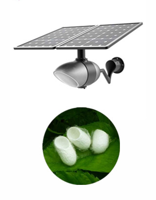 Road Smart-Oem Solar Panel Lamp Manufacturer, Solar Traffic Signal Light | Road Smart-3